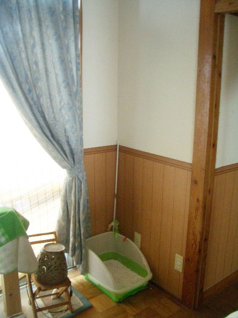 cimg5282.jpg